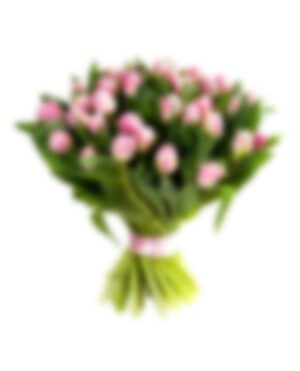 51 multicolored tulips